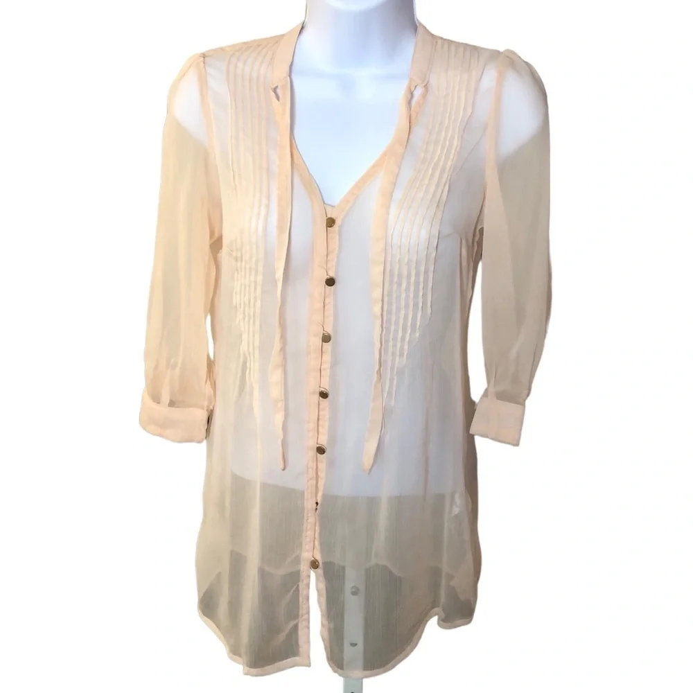 Blush Gauzy Chiffon Sheer Tunic Blouse with Buttons and Pleats - Picture 3 of 16